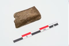 Foto von Schleifstein (NHMW-PRAE-023961)